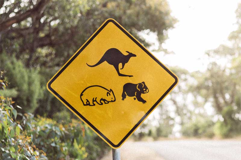australia-wildandgreat-1